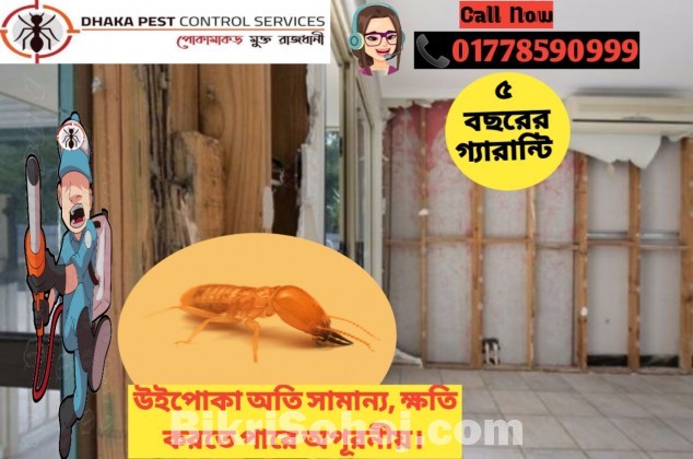Pest Control Service Dhaka Bangladesh